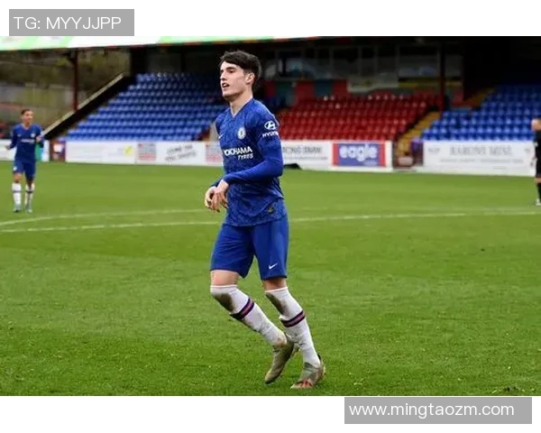 恩德里克的崛起与未来展望：年轻天才如何改变足球世界的格局